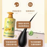 琴叶 生姜洗发水 控油清洁 p104 1L (单位:瓶)