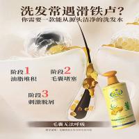 琴叶 生姜洗发水 控油清洁 p104 1L (单位:瓶)