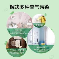 绿之源（GREEN SOURCE） 母婴健康卫士活性炭包 空气净化剂 2600g （单位:盒）