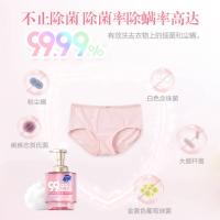 超能清雅樱花 泡沫 内衣洗衣液 500g（单位：瓶）
