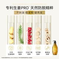 滋源（seeyoung） 生姜强根健发防脱 洗发水 535ml  油性（单位：瓶） 新旧包装随机发货