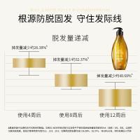滋源（seeyoung） 生姜强根健发防脱 洗发水 535ml  油性（单位：瓶） 新旧包装随机发货