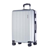 爱登堡DX963001 拉杆箱24英寸（单位：个）太空银
