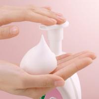 滴露（Dettol） 花香型 泡沫抑菌洗手液 250ml (单位:瓶) 新老包装随机发货
