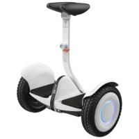 九号（Ninebot） 电动平衡车 MiniPro2 265*553mm 1台/箱 (单位:台)