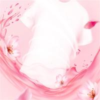 洁劲100 花漾洗衣液  2.5kg （单位：瓶）