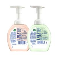滴露（Dettol） 西柚香型+青柠香型 泡沫抑菌洗手液 250ml*2瓶 (单位:组) 新老包装随机发货
