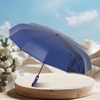 大嘴猴（Paul Frank） PFU205 晴雨伞 58.5cm*12K 蓝色（单位：把）