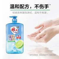 雕牌 除菌去油 洗洁精 1.04kg（单位：瓶）