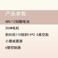 五星钻豹 TDT0011—1Z 电动车 电动二轮车 350W电机 混色（单位：台）