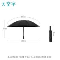 天堂伞 31173静澜 三折晴雨伞 58cm*10骨（单位：把） 颜色随机发货