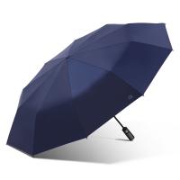 天堂伞 30975E 一键开收易甩干 全自动晴雨伞 33cm 10骨（单位：把）黛蓝