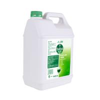 滴露（Dettol） 消毒液 松木 5L (单位:桶) 新老包装随机