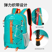 四万公里 SWL1010 徒步双肩包 31*18*45cm 25L （单位：个） 绿色