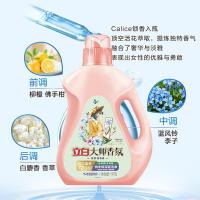 立白（Liby） 奇遇蓝风铃 洗衣液 1kg （单位：瓶）