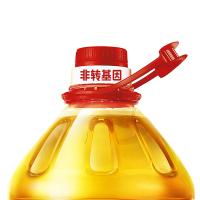 金龙鱼 黄金比例零反式脂肪食用植物调和油 非转基因 4L (单位:桶)