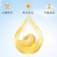 金龙鱼 精炼一级大豆油 转基因 5L (单位:桶)