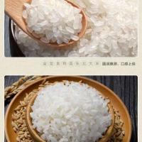 金龙鱼 特选东北大米 真空包装 5KG (单位:袋)