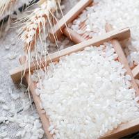 金龙鱼 雪域稻花香大米 一级 真空包装 5kg (单位:袋)