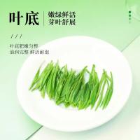 茶马世家 恩施玉露茶叶 特级 绿茶 100g (单位:罐)