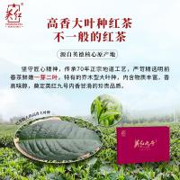 英红 英德红茶礼盒装 特级 恒睿英红九号 250g（5g*50包） (单位:盒)