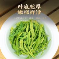 茶马世家 高山云雾绿茶 袋装 500g (单位:袋)