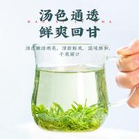 茶马世家 高山云雾绿茶 袋装 500g (单位:袋)