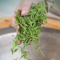 艺福堂 安吉白茶  100g/罐  (单位：罐 )