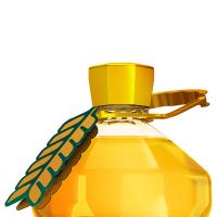 金龙鱼 谷维多双一万稻米油 4L （单位：瓶） 新老包装随机发货