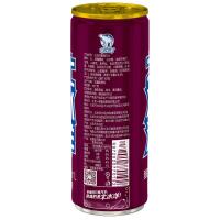 北冰洋 酸梅汁口味 果汁汽水 330ml*24罐（单位：箱）