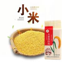 靠山红 大金苗小米 真空包装 1kg (单位:袋)