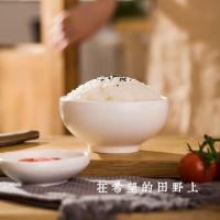 隆平芯米 东北大米 珍珠米 5KG (单位:袋)