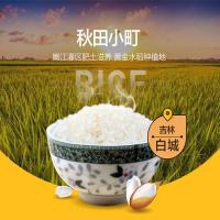 佳园央米 东北大米秋田小町大米 一级 真空装 5kg (单位:袋)