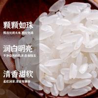 拓岑博涛 大米（特品） 一级 真空包装 5kg (单位:袋)