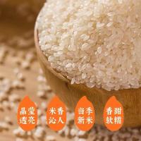 隆平芯米 耐盐碱大米 真空装 2.5kg (单位:袋)
