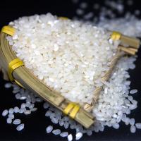 西南岗 泗洪大米 真空包装 800g (单位:袋)