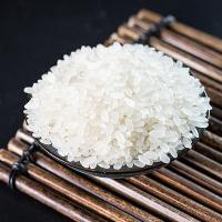 丰原食品（BBCA FOOD） 五常香米大米 优质一等 真空包装 10kg (单位:袋) 新老包装随机发货