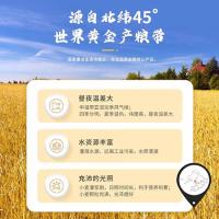 万兴泰 高筋 小麦粉 5kg (单位:袋)