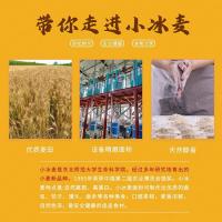 万兴泰 高筋 小麦粉 5kg (单位:袋)