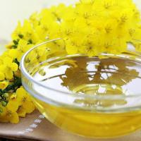 大荒金老农 一级菜籽油 非转基因 1.8L (单位:瓶)
