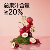 好望水 果汁气泡水饮料 望山楂 300ml*6瓶 (单位:箱)