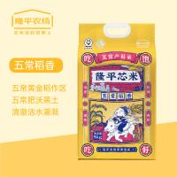 隆平芯米 五常稻香大米 真空装 5kg (单位:袋)