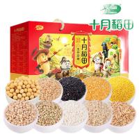 十月稻田 十种五谷杂粮 礼盒装 400g*10 (单位:盒) 新老包装随机发货