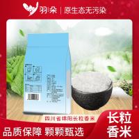 羽朵 长粒香米 真空包装 500g (单位:袋)