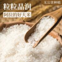 邮乐优选 家乡鲜稻甬优15号 大米 A03 5kg (单位:袋) 绿色