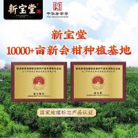 新宝堂 蕴月瓶 20年 陈皮 250g（单位：瓶）新老包装随机发货