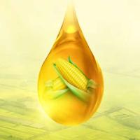 福临门 福至心礼 非转基因黄金产地玉米油  5L （单位：桶)