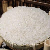 骏丰年 JFN-HJQ0104 黄金晴原阳大米 真空包装 5kg （单位:袋）