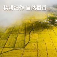 海天 优选东北珍珠米 大米 真空包装 5kg （单位:袋）