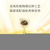 陇间柒月 暮秋坊 菜籽油 5L （单位:桶）